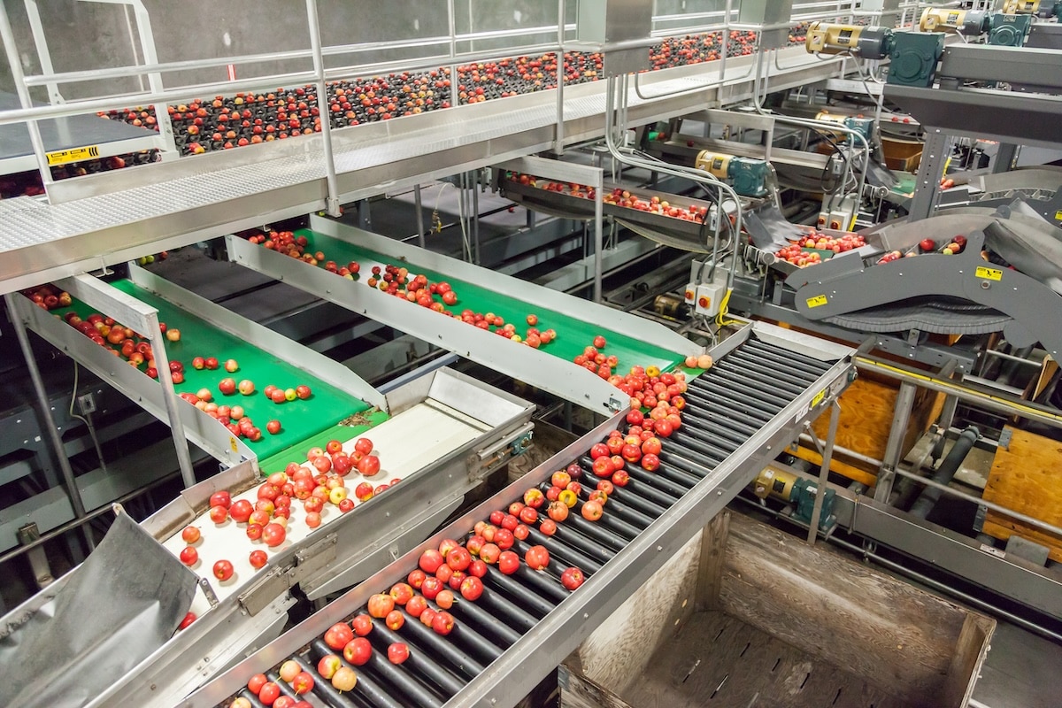 csiro-s-free-program-to-boost-wa-s-agrifood-smes-food-beverage