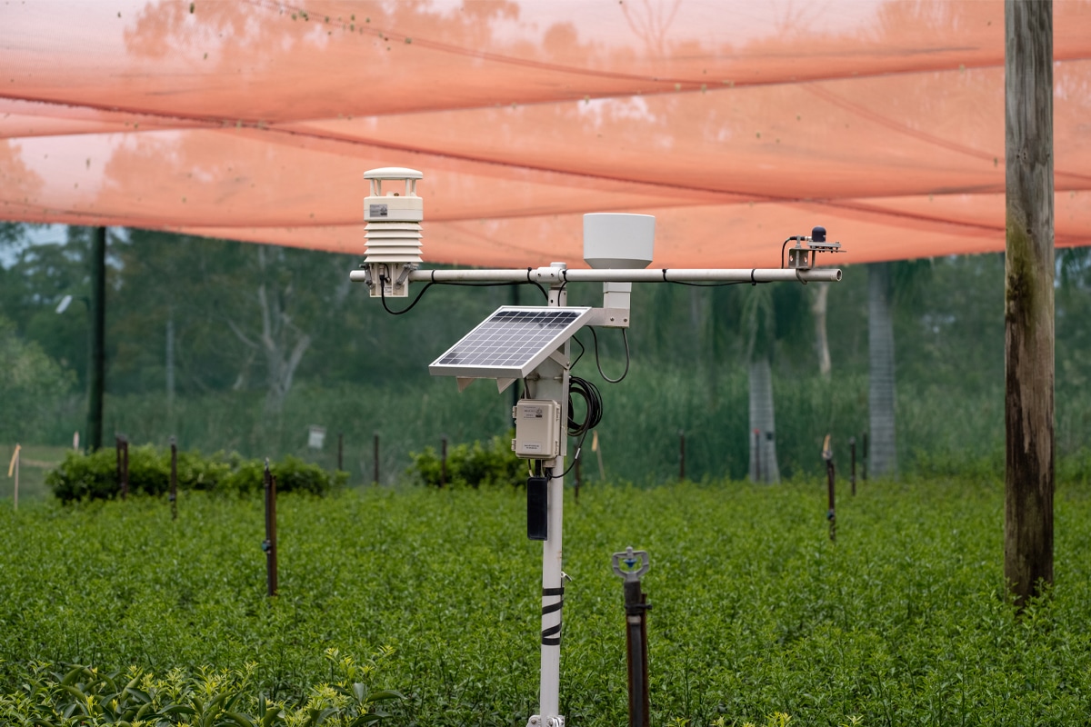 Hitachi Vantara and Golden Grove Nursery harness data-driven analytics for more sustainable water management - Vimarsana News