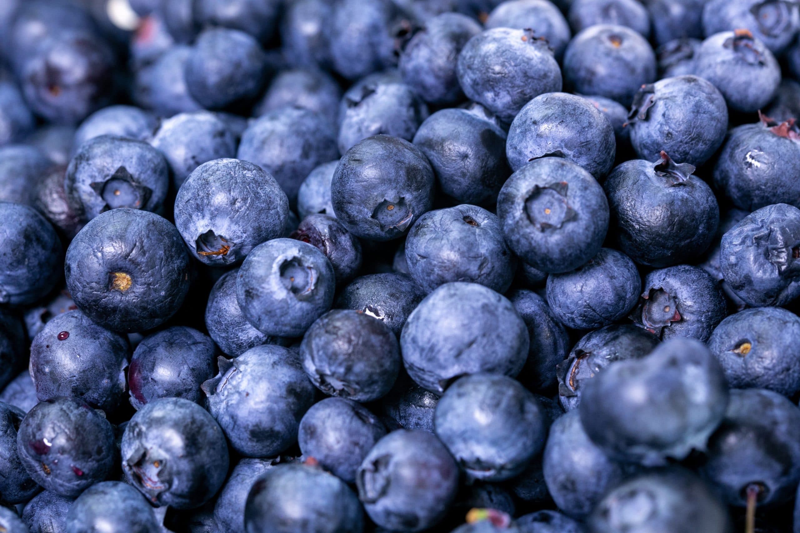 Oz Group Enters Frozen Berry Market With BOC s Freezing Solution Food oz-group-enters-frozen-berry-market-with-boc-s-freezing-solution-food