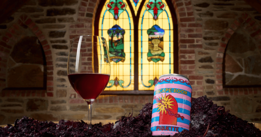 From waste to wine: a seltzer-like wine made from grape skins
