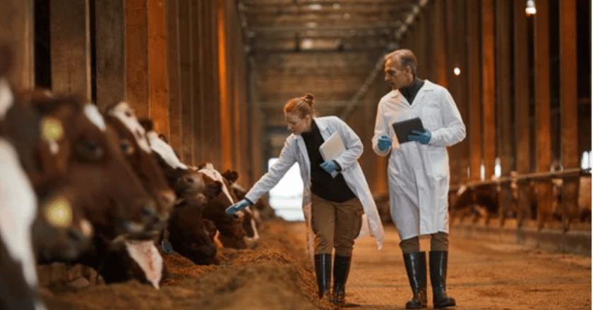50 Australian scientists from universities and research institutions across the nation have signed a major international declaration in support of the essential role of animal agriculture in a sustainable food system.
