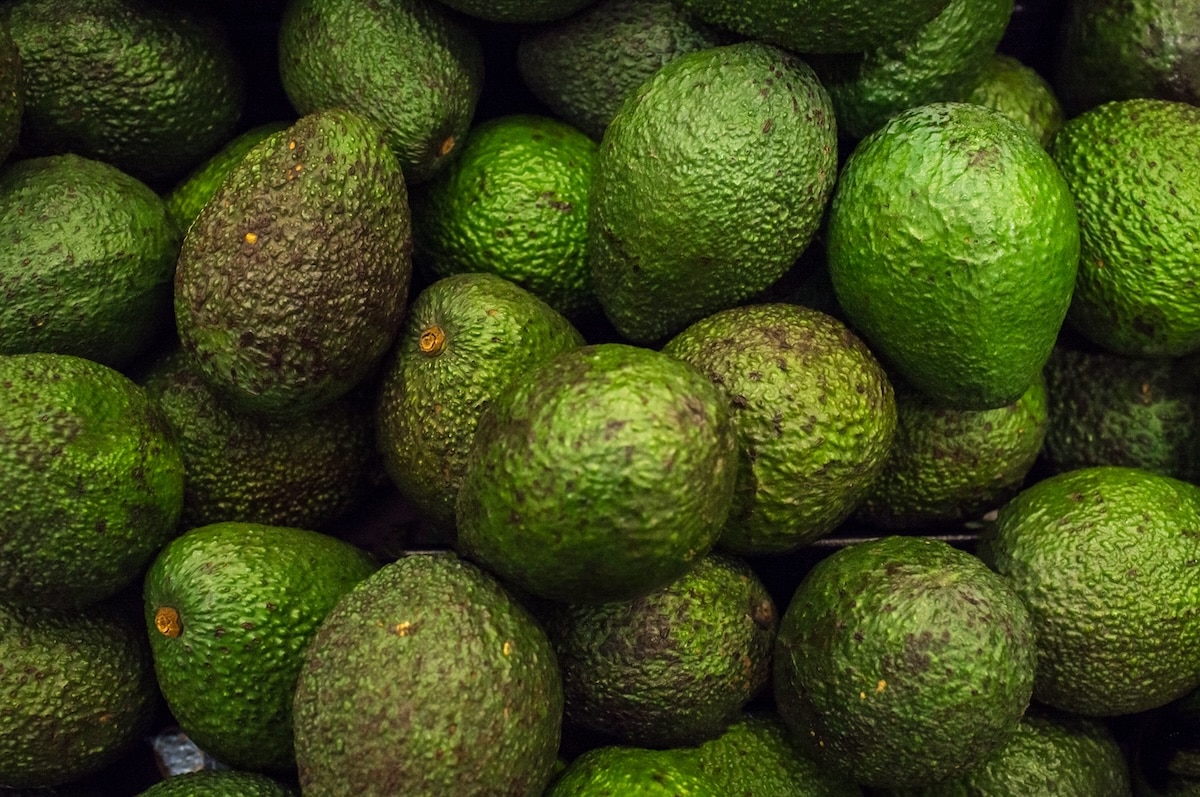 Shiploads of premium WA avocados arrive in India - Food & Beverage Industry News - Vimarsana News