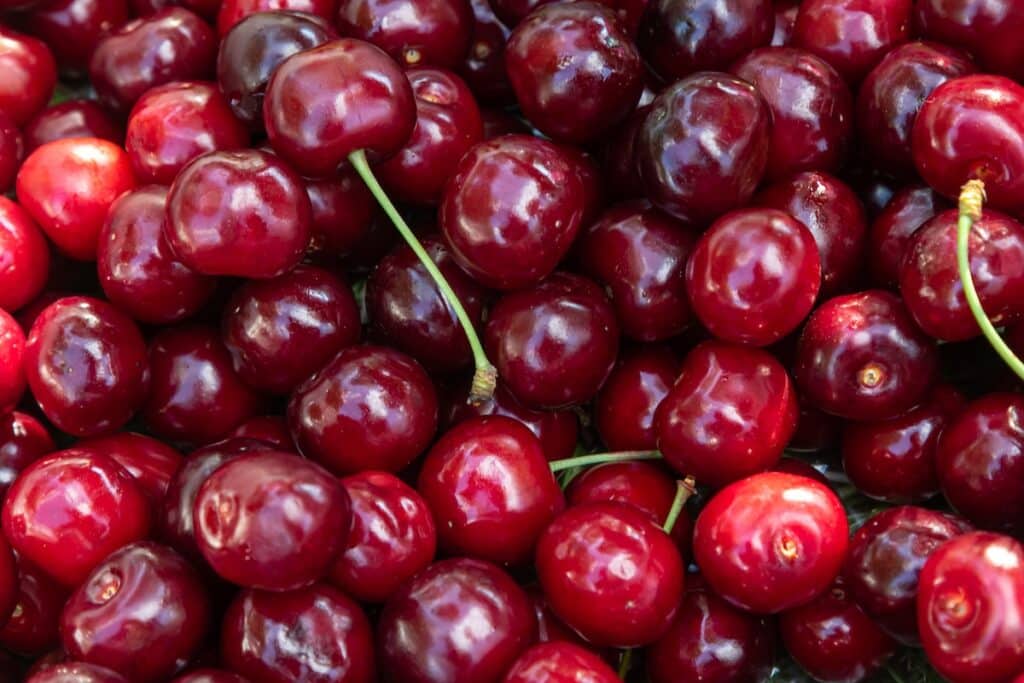 cherry