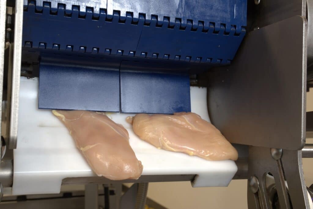 conveyor hygiene