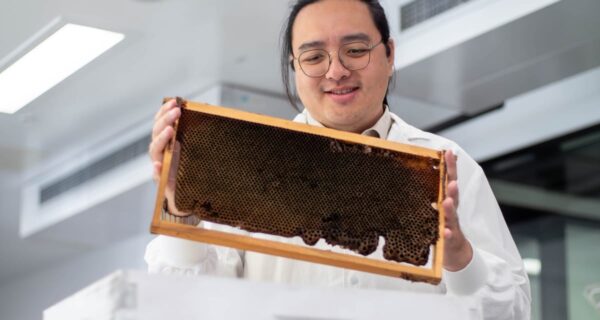 honey